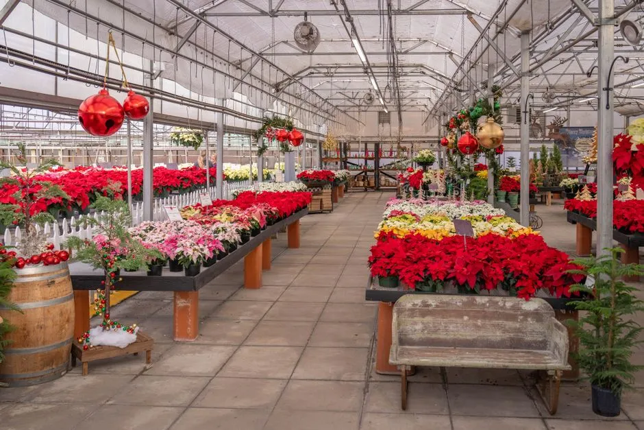 OBI Baumarkt und Gartencenter