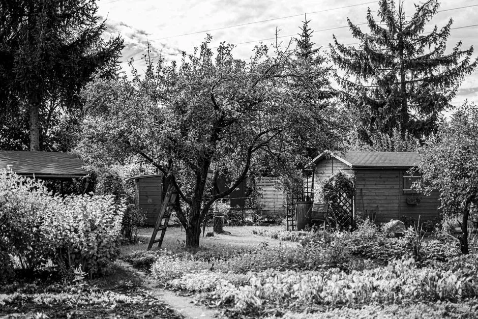 Gartenhaus: Holz, Metall & Aufbau